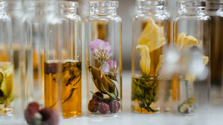 Quelles sont les différentes concentrations de parfum ?