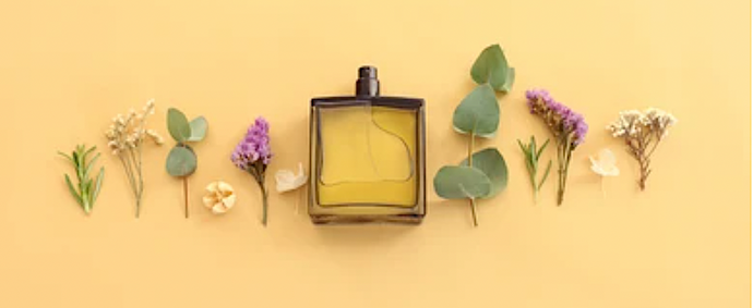 Quelle est la différence entre Eau de toilette, Eau de parfum, Eau de cologne et Extrait de parfum ?